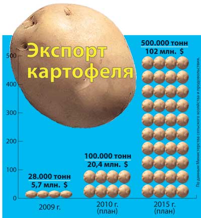 экспорт картофеля