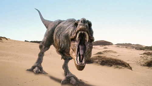 В Мексике раскопали крупнейшее в истории кладбище динозавров