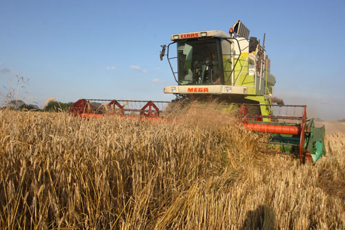 В Беларуси намолочен первый миллион тонн зерна 