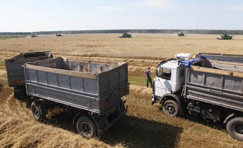 К уборке урожая в Беларуси подключились военнослужащие 
