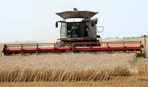 Белорусские хлеборобы намолотили более 5 миллионов тонн зерна