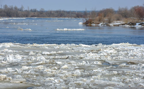 В реке Березина в Бобруйске 4 марта был обнаружен труп 13-летнего мальчика с телесными повреждениями