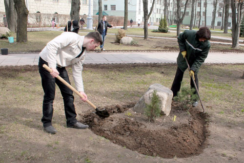 В субботу, 12 апреля, в Беларуси пройдет республиканский субботник, во время которого планируется навести порядок на рабочих местах