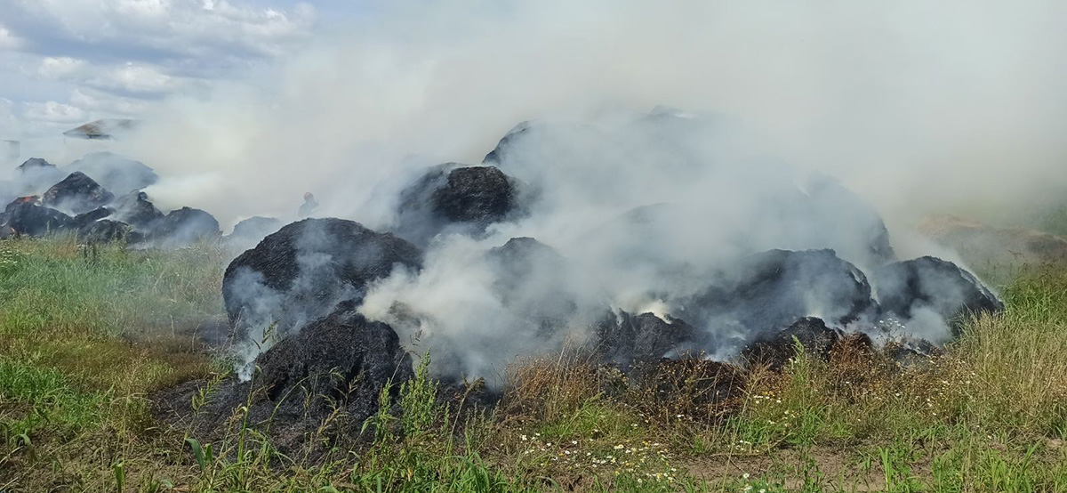 В Могилевском районе в поле горела солома