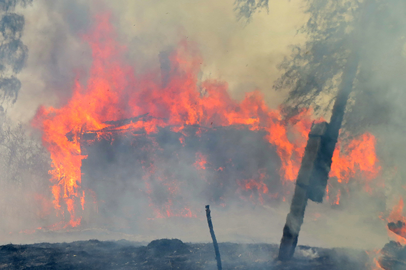На границе Столинского и Лунинецкого района возле паромной переправы произошел крупный пожар