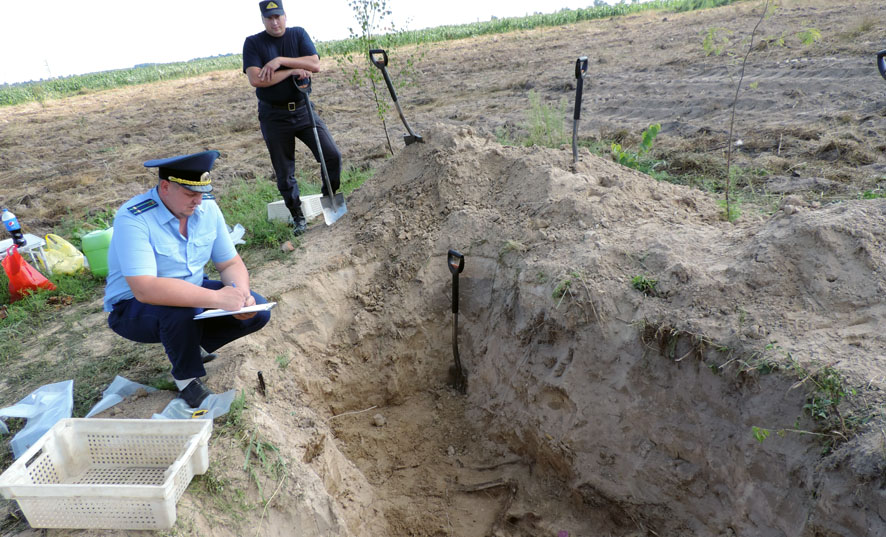 В Жлобинском районе обнаружено захоронение жертв фашисткой оккупации