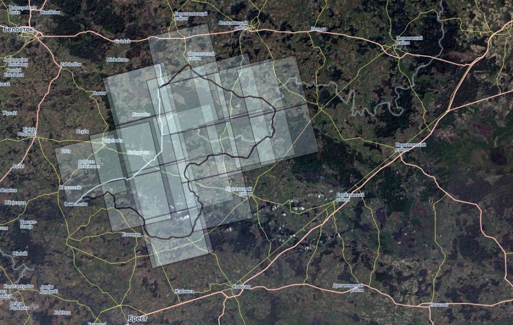 Космический снимок Беловежской пущи