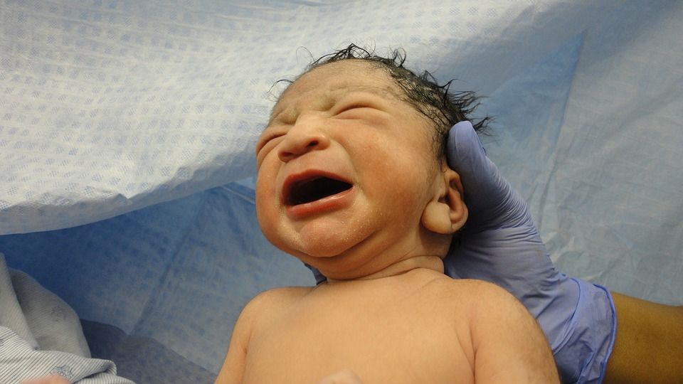 В Мачулищах новорожденную девочку мать выбросила в мусоропровод