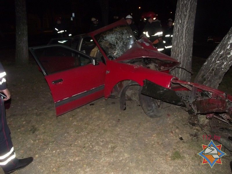 В Мозыре Ауди вылетела в дерево: водителя спасли, пассажирка погибла