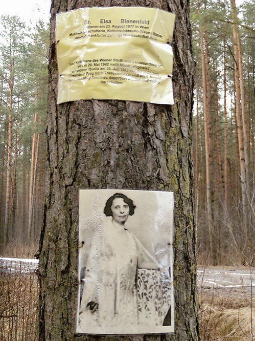 Одна из жертв из Вены. Фото на дереве в Благовщине. Фото TUT.by