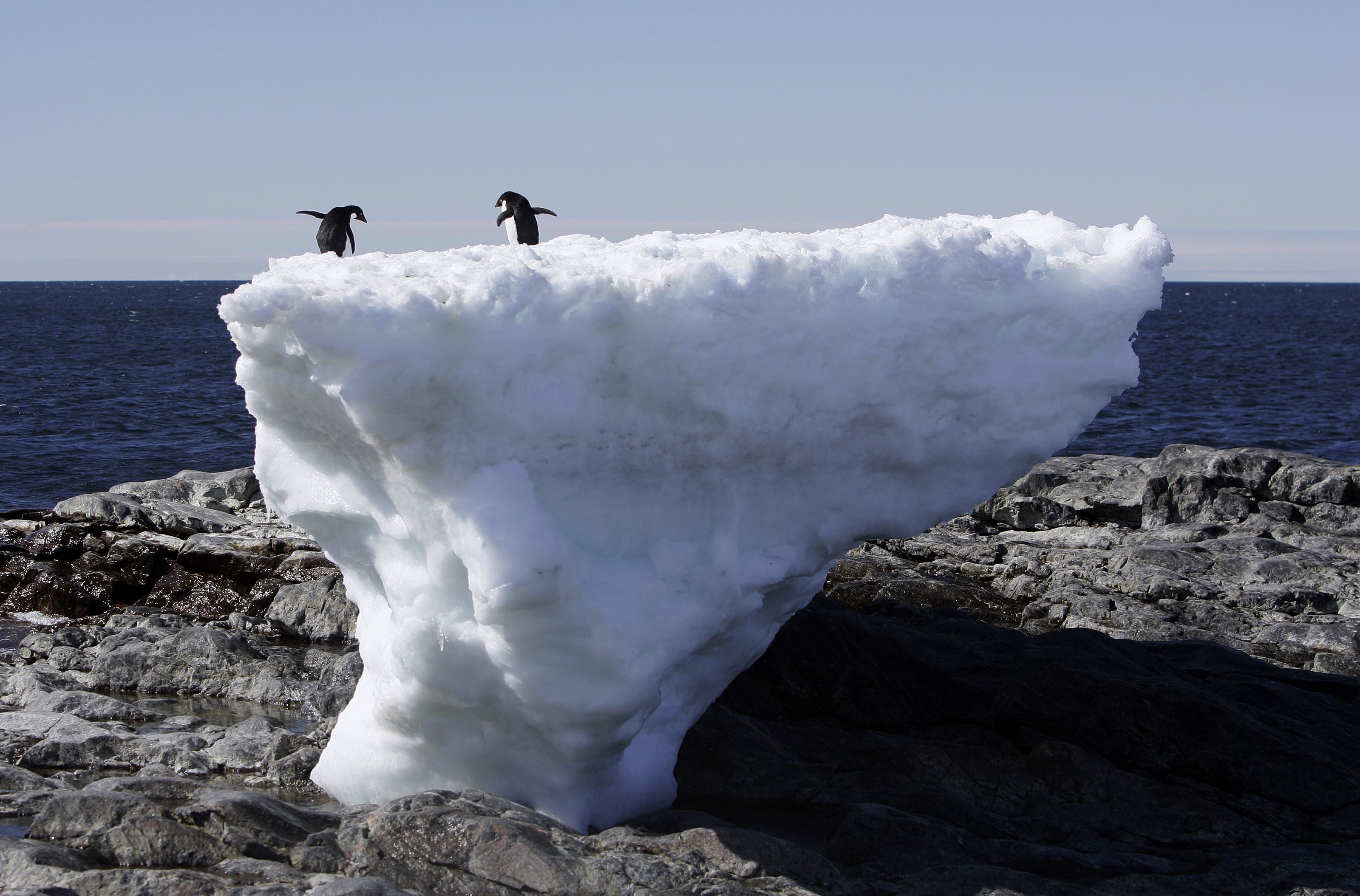 Потепление февраль 2024. Таяние ледников в Антарктиде. Таяние ледников в Арктике. Ледники Антарктиды тают. Таяние льдов в Антарктиде.