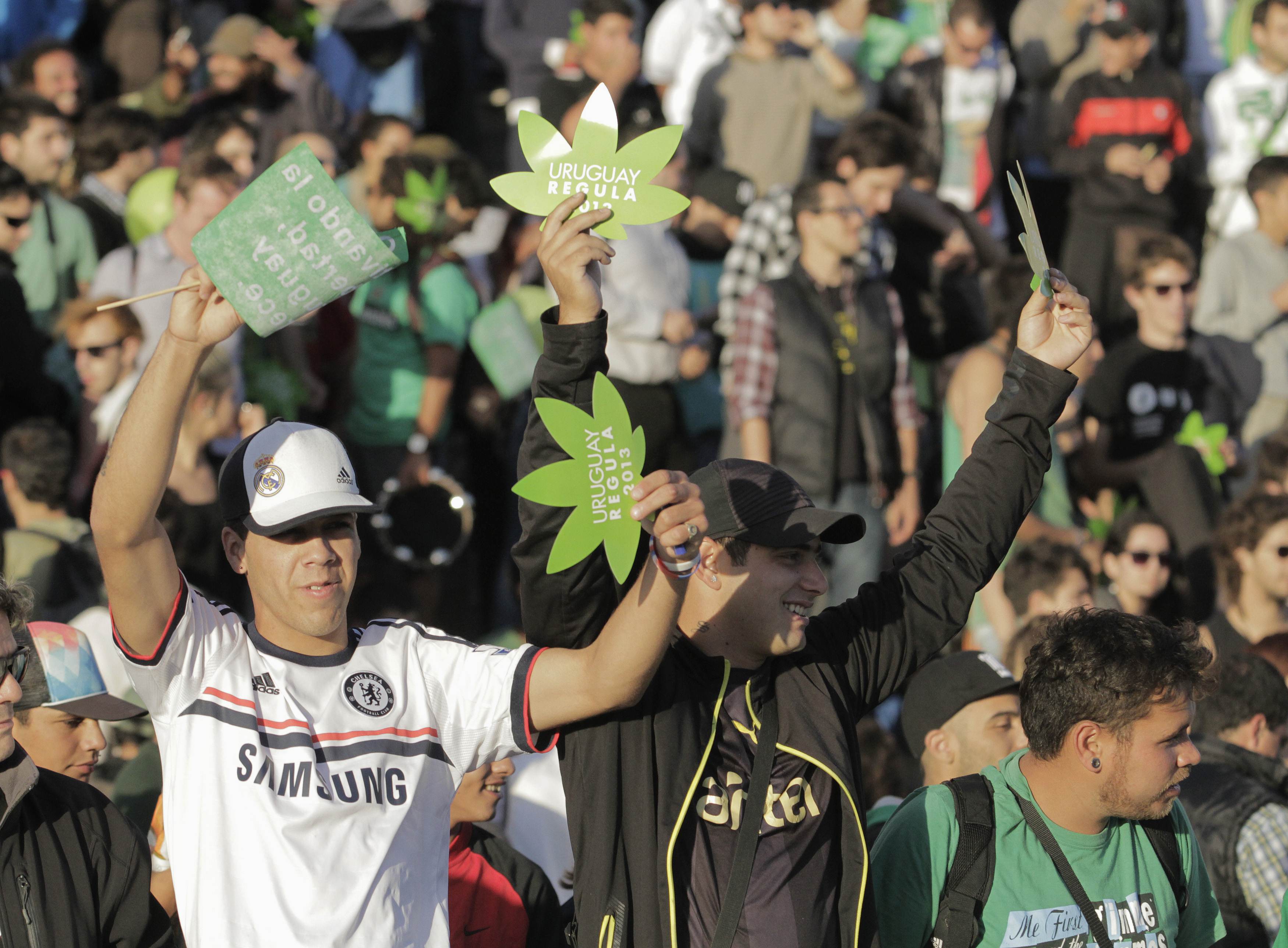 уругвай легализация марихуаны