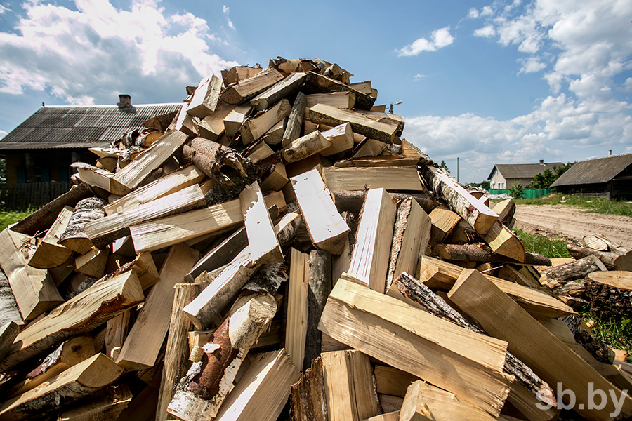 В Ольшанах процветает нелегальная торговля древесиной