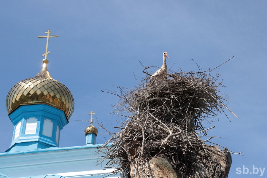 Православные христиане встречают Великий четверг: что нужно делать в этот день