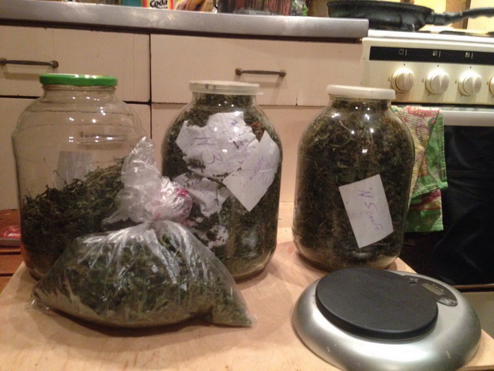 Задержан хранил дома марихуану запах жженой марихуаны