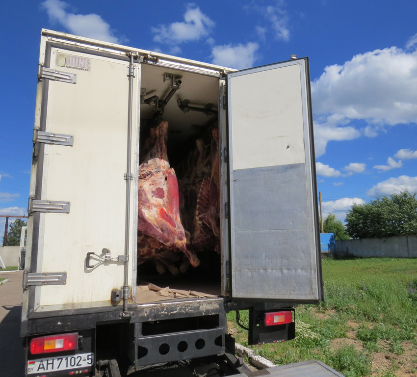 Под Оршей уничтожили пять тонн говядины, которые не пропустили в РФ