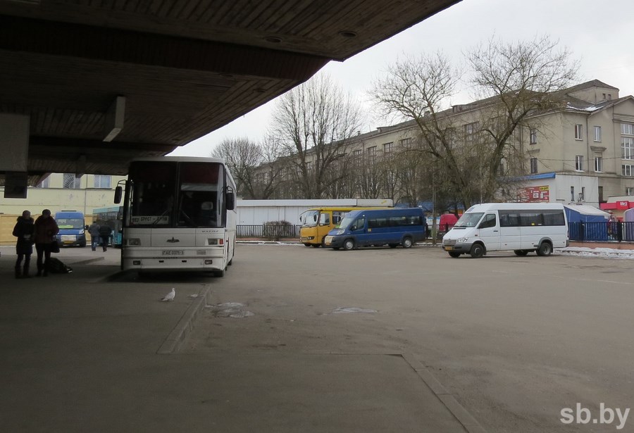 Нерегулярные перевозчики в Брестской области опасаются повышения цен и потери бизнеса