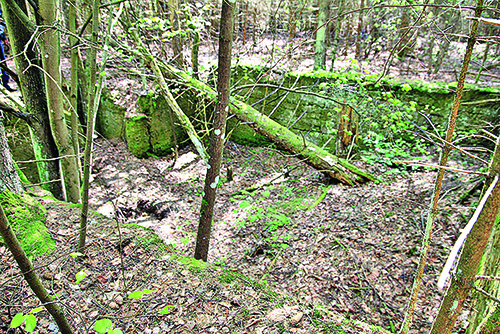 Разрушенный фундамент в лесу  у деревни Детковичи