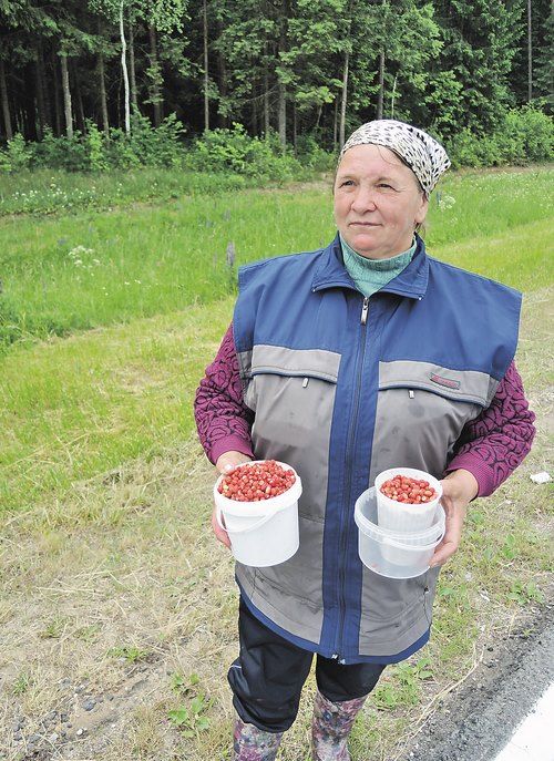 Пенсионерка Антонина МАРКЕВИЧ из Толочинского района знает толк в придорожной торговле.