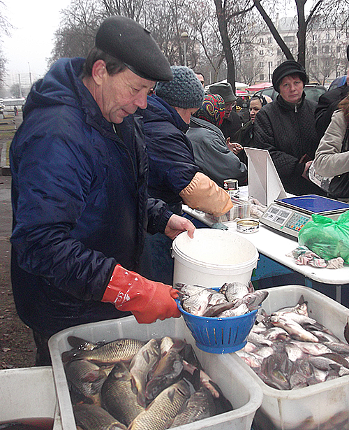 Почему в городах очереди за отечественной живой рыбой, а в глубинке по-прежнему в ходу импортная мороженая