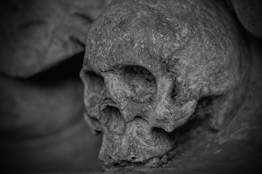 skull-and-crossbones-77950_960_720.jpg